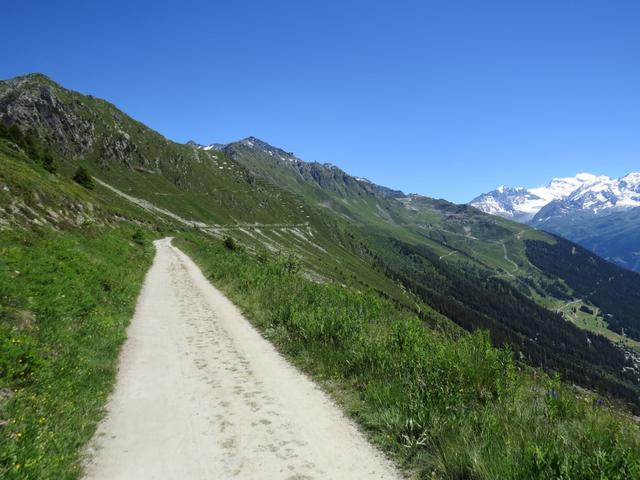 über eine bequeme breite Kiesstrasse schneiden wir quasi horizontal die Flanke vom Mont Rogneux