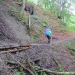 der Weg führt nun durch den Wald in Kehren aufwärts