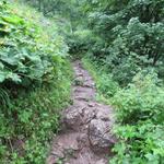 bei Nässe wie heute ist hier der Wanderweg rutschig