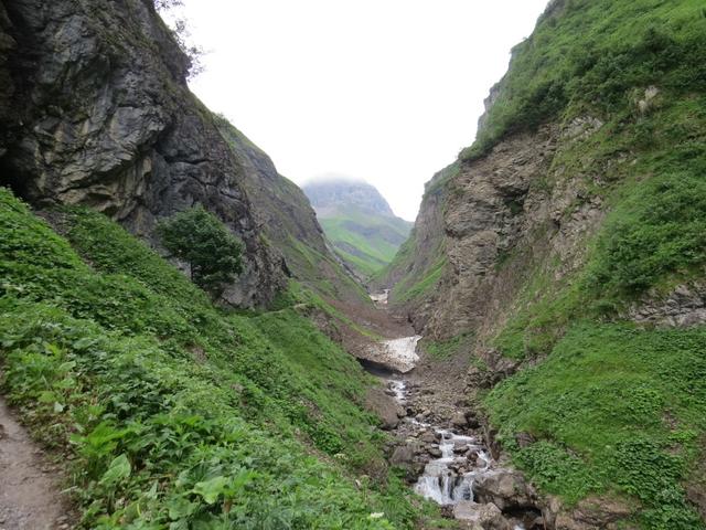 Blick in den Sperrbachtobel. Altschneeresten liegen noch im Bach