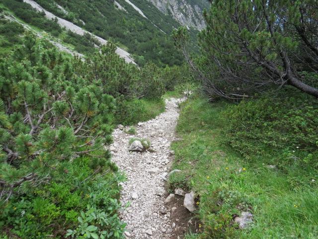 ... Richtung Untere Rossgumpenalpe