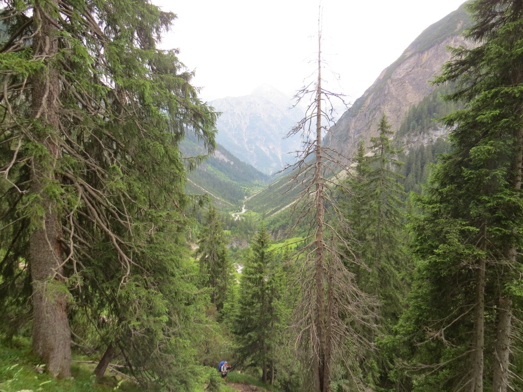 Blick in das Höhenbachtal