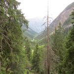 Blick in das Höhenbachtal