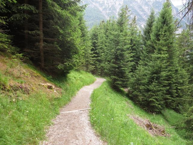 ein schöner Wanderweg führt uns nun zu der vorher erwähnten Hängebrücke