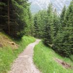 ein schöner Wanderweg führt uns nun zu der vorher erwähnten Hängebrücke