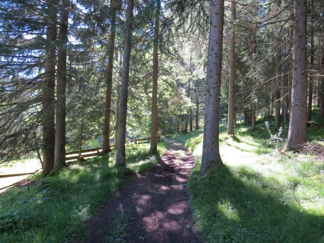 kurz nach Stockach tauchen wir in den Wald hinein