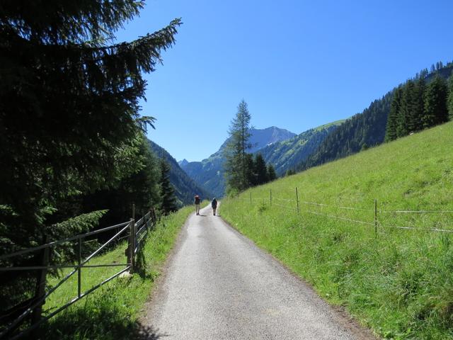 auf einer breiten Fahrstrasse geht es hinein in das schöne Madautal