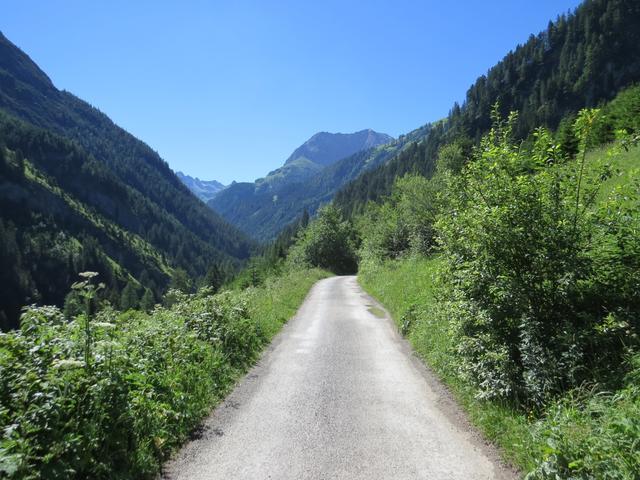 kurze Zeit später nach Punkt 1211 m.ü.M. verlassen wir die Fahrstrasse