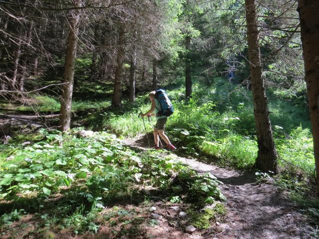 auf der anderen Seite der Schlucht führt der Wanderweg nun wieder aufwärts