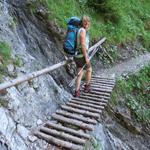 der nun beginnende Höhenweg ist sehr gut ausgebaut