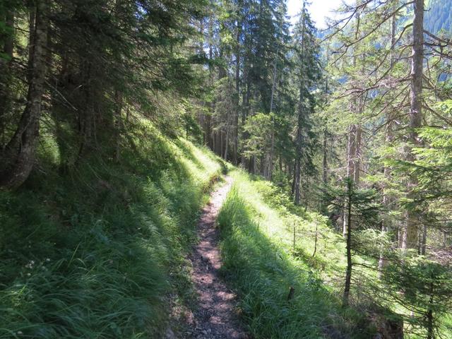 auf fast gleichbleibender Höhe schlängelt sich der schön angelegte Wanderweg...