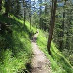 wir sind überzeugt das diese Variante viel besser ist als auf der Strasse weiter zu wandern