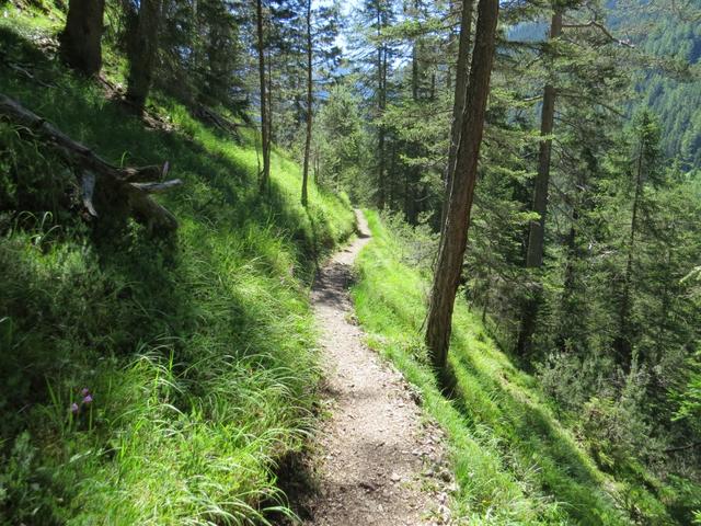 wir sind überzeugt das diese Variante viel besser ist als auf der Strasse weiter zu wandern