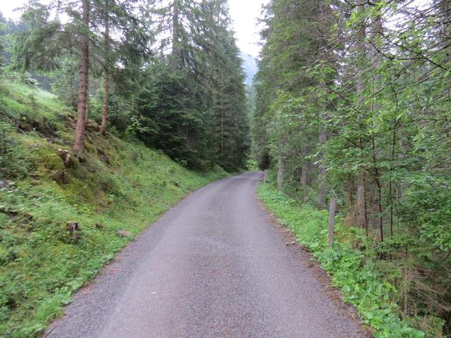 über die Teerstrasse stossen wir hinein ins Parseiertal