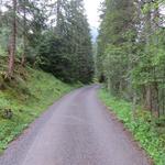 über die Teerstrasse stossen wir hinein ins Parseiertal