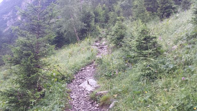 ein gut ersichtlicher Bergpfad führt nun hinauf zur Memmingerhütte