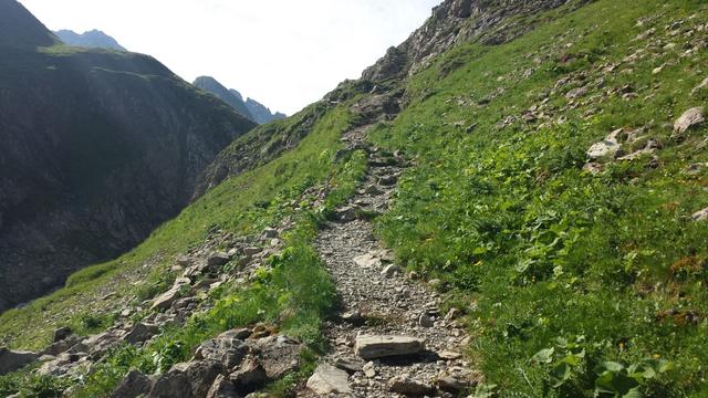 der E5 zieht nun einen Rechtsbogen um den Seekogel herum