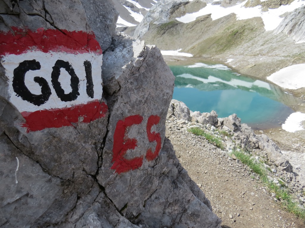 wir sind auf dem richtigen Weg