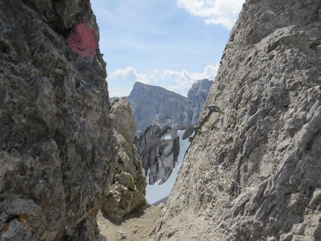 wir haben die Seescharte 2599 m.ü.M. erreicht