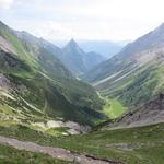 Blick hinunter in das grüne Lochbachtal