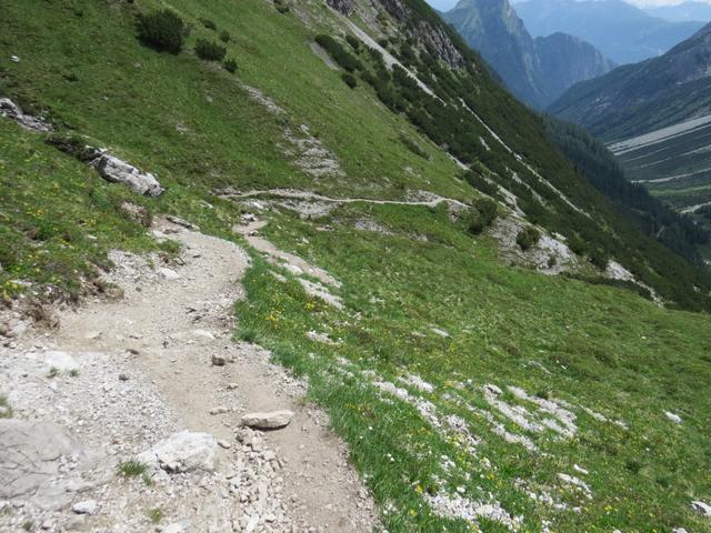scheinbar endlos führt der steile Weg abwärts Richtung Oberlochalpe