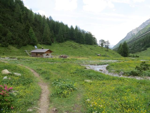 wir erreichen die Oberlochalm 1799 m.ü.M.