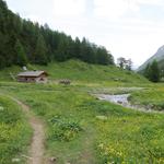 wir erreichen die Oberlochalm 1799 m.ü.M.