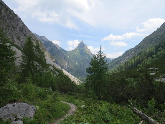 die Silberspitze immer im Blickfeld