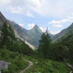 die Silberspitze immer im Blickfeld