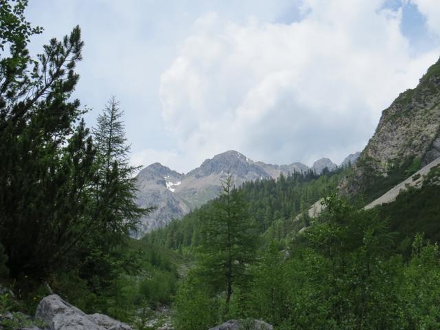 letzter Blick zurück zur Seescharte