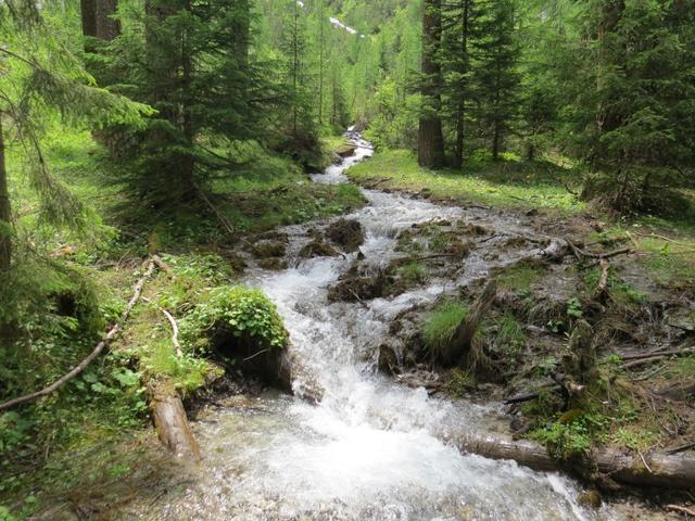 zufliessende Bäche lassen den bis jetzt kleinen Lochbach gewaltig anschwellen