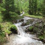 zufliessende Bäche lassen den bis jetzt kleinen Lochbach gewaltig anschwellen