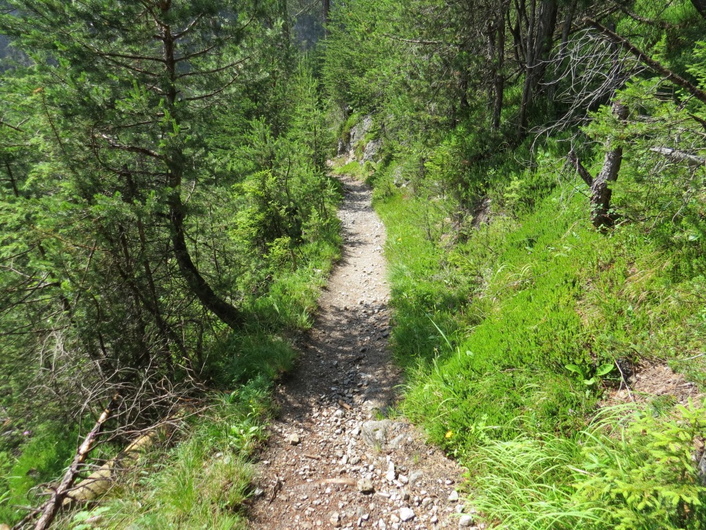 1890 stiegen das letzte Mal über diesen Steig Kühe für den Sommer auf die Lochalm