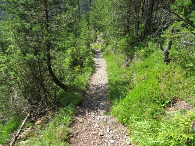 1890 stiegen das letzte Mal über diesen Steig Kühe für den Sommer auf die Lochalm
