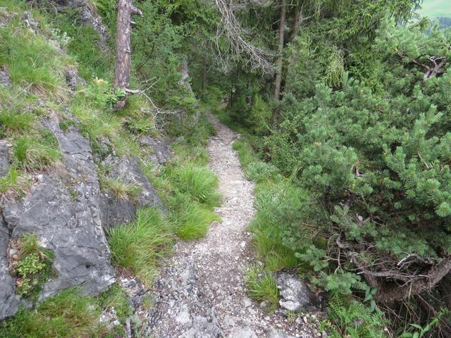 ein Stück des Weges geht es jetzt geradeaus. Wir geniessen das geradeaus laufen