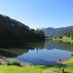 wir verlassen den idyllisch gelegenen Lac de Morgins und überqueren die Grenze