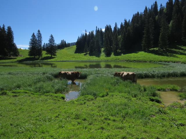 beim Lac de Conche 1653 m.ü.M. übequeren wir wieder die Grenze