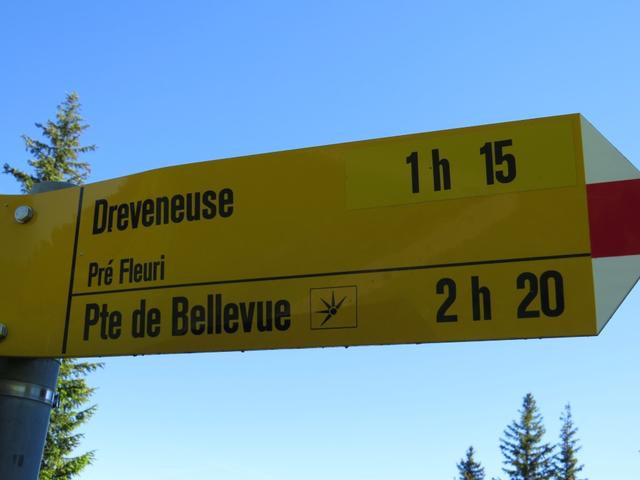 von hier aus führt der Hauptweg direkt hinauf zum Pointe de Bellevue