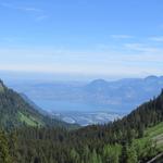 vor uns taucht der Genfersee auf