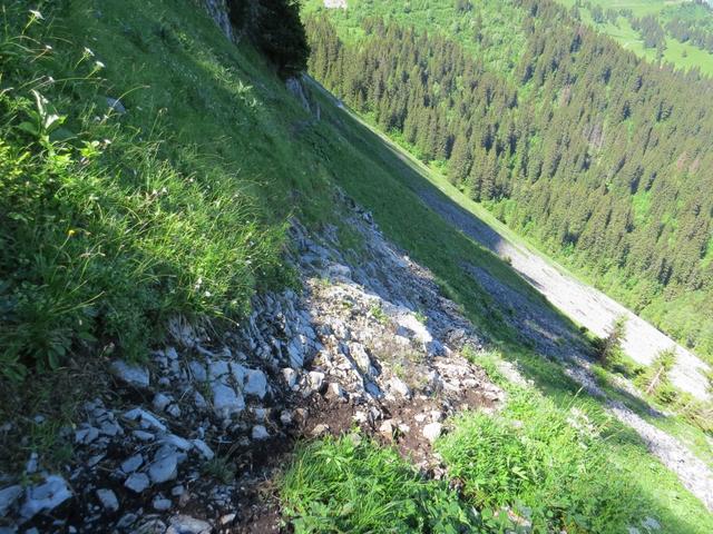 Blick von Punkt 1773 m.ü.M. auf den zurückgelegten Weg. Steil schiesst die Bergflanke in die Tiefe