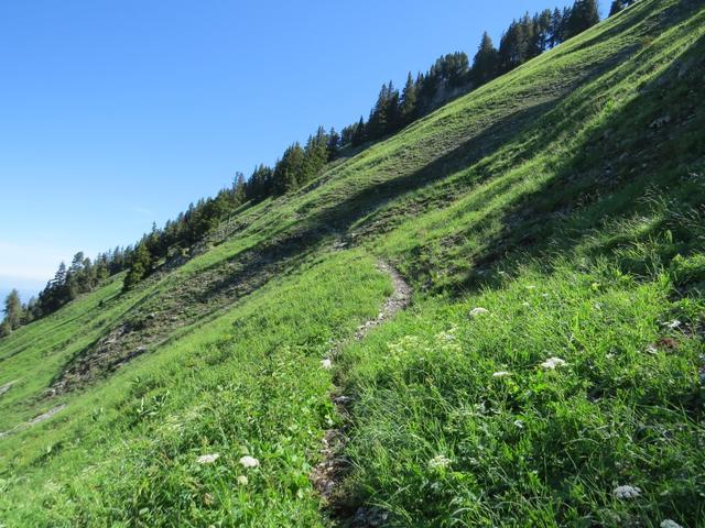 ...der Wanderweg wird nun zu einem schmalen...