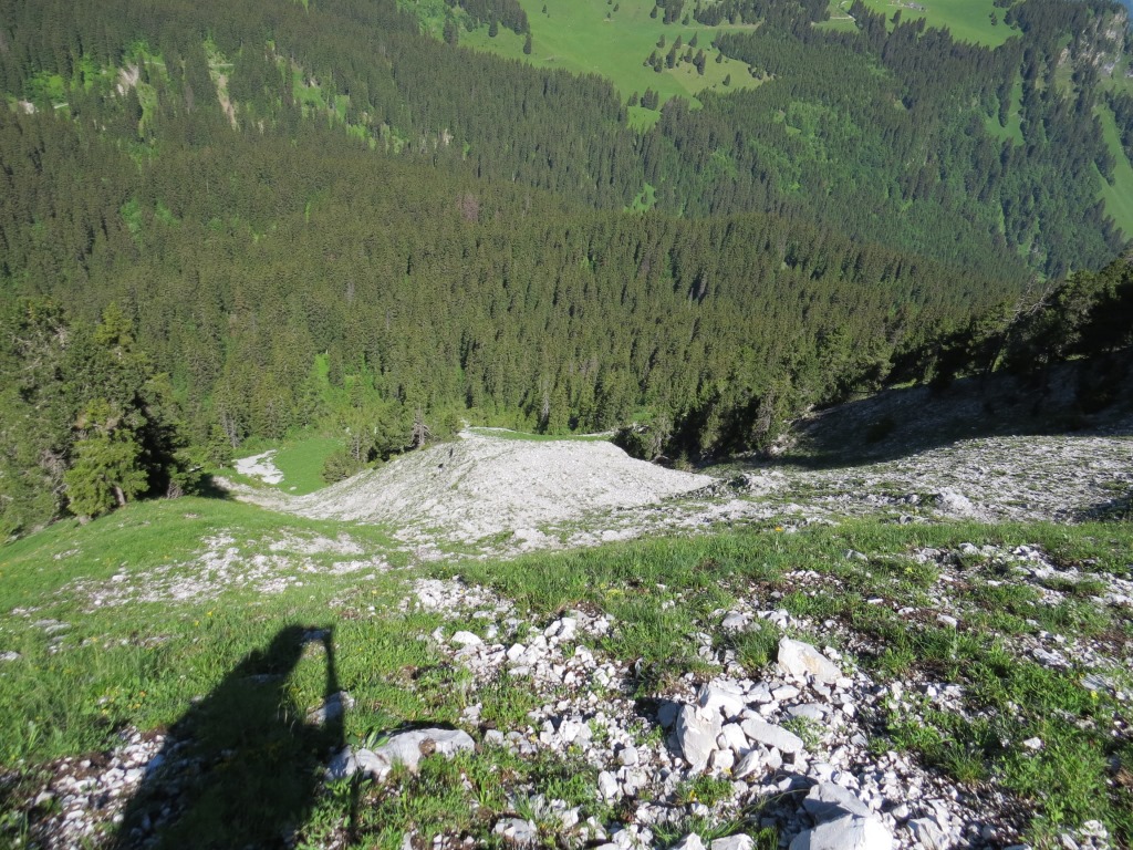 bei Nässe oder Schnee heikel