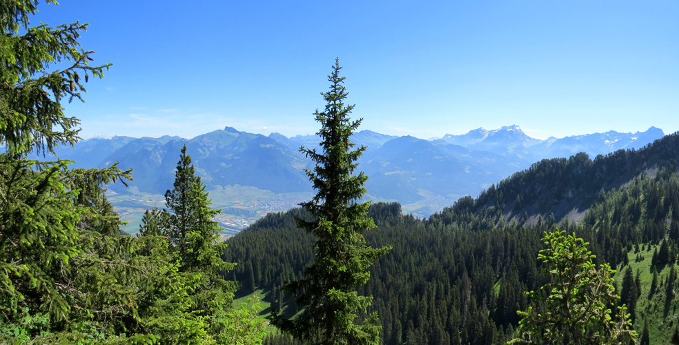 ...und die Aussicht wird immer imposanter