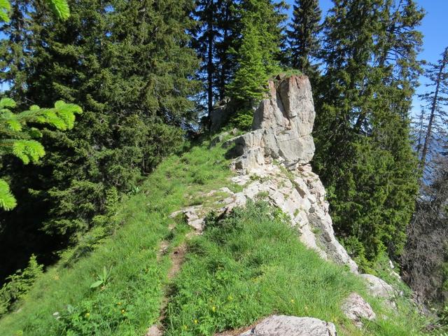 wir haben den Grat der Arête de Pré Fleurie erreicht