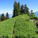 der Bergweg führt nun alles dem schönen Grat entlang