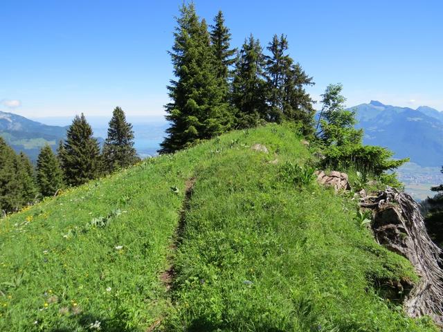 der Bergweg führt nun alles dem schönen Grat entlang