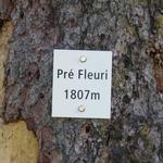 wir erreichen Pré Fleuri 1807 m.ü.M.