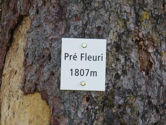 wir erreichen Pré Fleuri 1807 m.ü.M.
