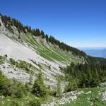 Blick zurück gut ersichtlich der Bergweg über das Schuttfeld