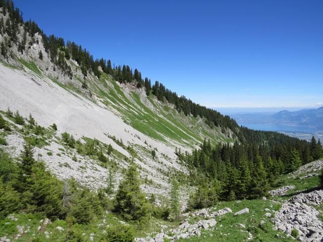 Blick zurück gut ersichtlich der Bergweg über das Schuttfeld